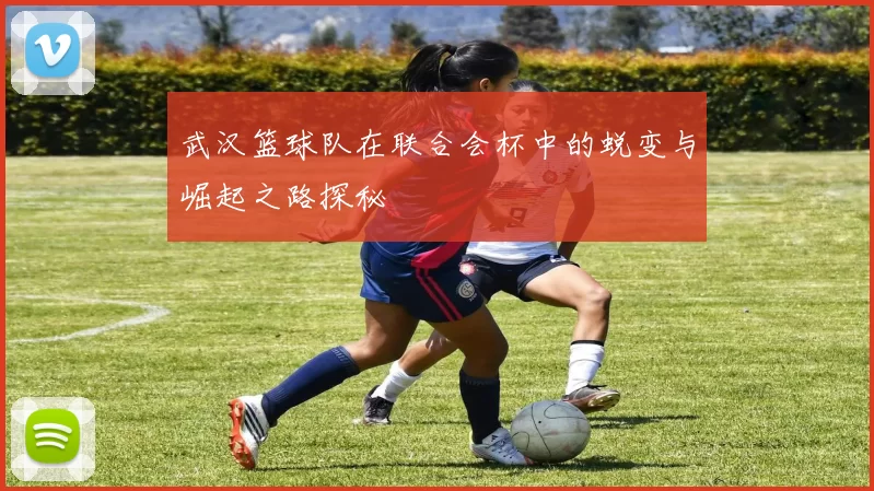 武汉篮球队在联合会杯中的蜕变与崛起之路探秘