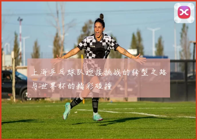 上海乒乓球队迎接挑战的转型之路与世界杯的精彩碰撞