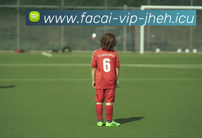 开云体育APP 封面图